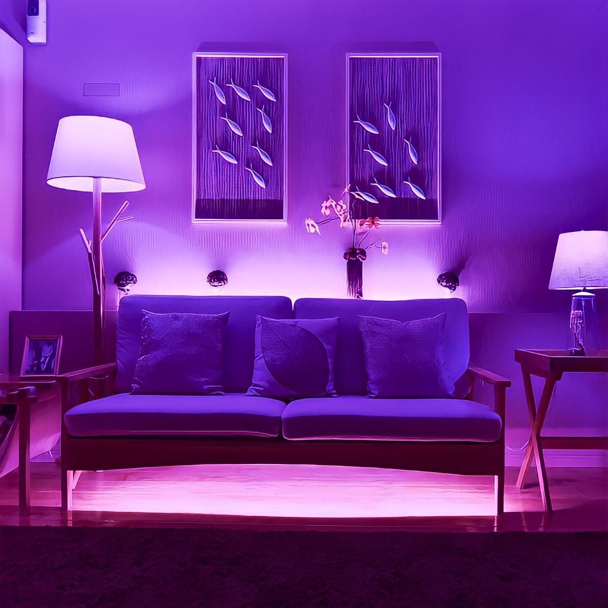 Ruban LED RGB WiFi pilotable par application, 5 à 30 m, vue 6